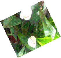F:\ipad\IMG_0495.JPG