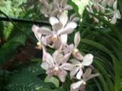 F:\ipad\IMG_0497.JPG