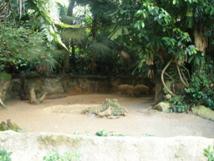 F:\Ƭ¼º\P8050107.JPG